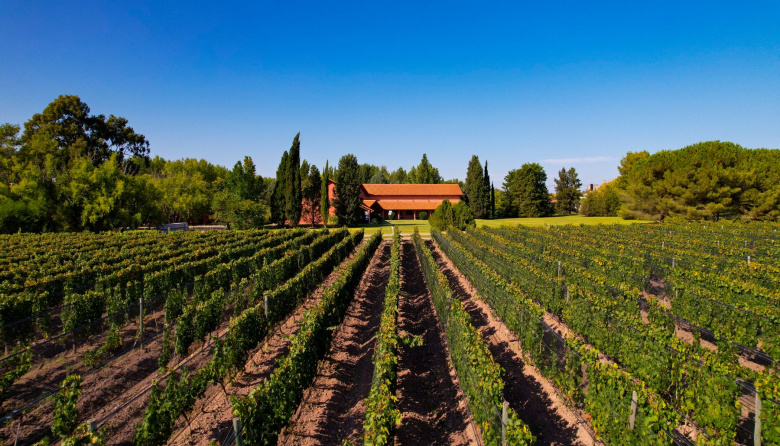 Un Malbec de Mendoza obtuvo la máxima distinción en un prestigioso certamen de Londres