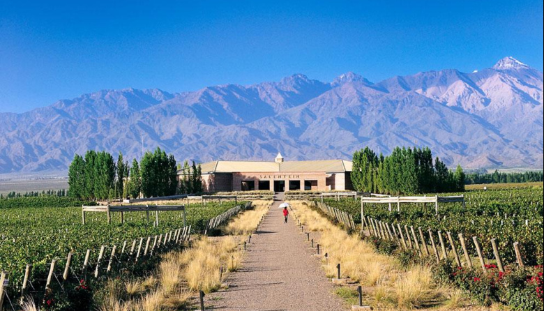 Entre bodegas y montañas, Mendoza seduce al turismo corporativo