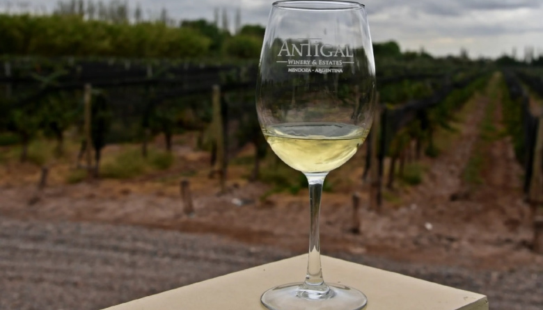 Antigal Winery presenta dos noches temáticas dedicadas a Soda Stereo en septiembre