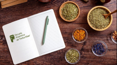 La yerba mate se profesionaliza: lanzan escuela con diplomaturas certificadas y enfoque internacional