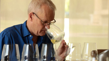 Vinos argentinos 2025: elogios, récords y desafíos según Tim Atkin