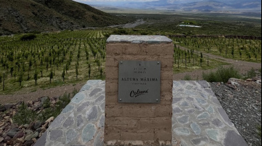 Altura Máxima 2022: el Malbec de las nubes que cautivó a Tim Atkin