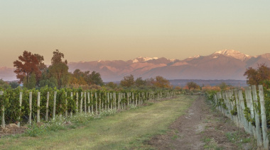 Achaval Ferrer lanza Quimera Diamante y Memento: dos vinos que celebran la dualidad del terroir mendocino