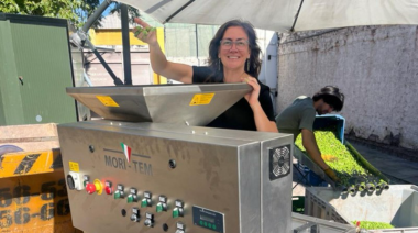 Laura Morresi, la historia de una innovadora en el mundo del olivo