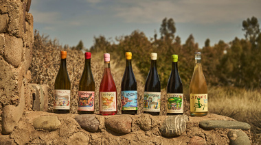 Santa Julia nominada como Mejor Bodega del Nuevo Mundo por Wine Enthusiast