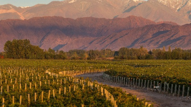 Luigi Bosca, nominada como “Mejor Bodega del Nuevo Mundo” en los Wine Star Awards