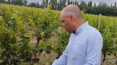 Vinos de altura, un sello de identidad para los consumidores