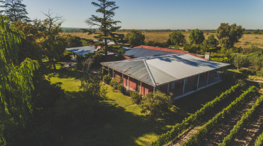 Monte Quieto lanza su primer vino blanco: el nuevo Alegre Viognier de Luján de Cuyo