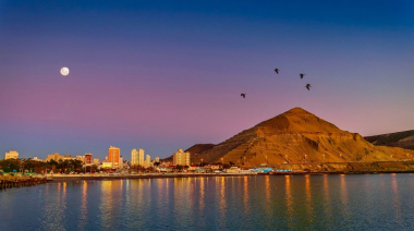 Comodoro Con Viento a Favor: experiencias turísticas y el retorno de la ballena sei al Golfo San Jorge