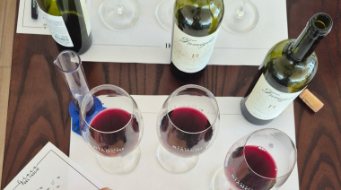 Bodegas Bianchi propone dos experiencias imperdibles para vivir el vino este verano en Mendoza