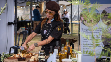 Mendoza Oliva Bien: el oleoturismo mendocino compite en los Premios Excelencias Turísticas y convoca al voto internacional