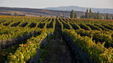 Huentala Wines propone una experiencia de Vendimia inmersiva en Gualtallary, Valle de Uco