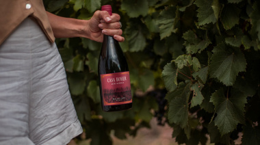 Vendimia entre viñedos: Rosell Boher Lodge propone cosecha, vino y un menú en homenaje a la vid