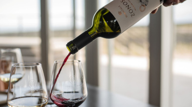 Huentala Zonos 2023 se posiciona entre los mejores Malbec de Argentina y refuerza el prestigio de Gualtallary