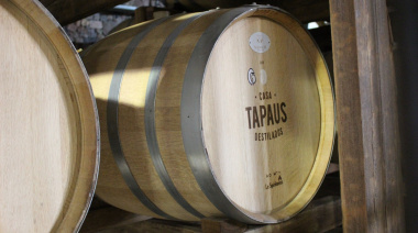 Gin, vermut y pisco: el auge de las bebidas artesanales con sello mendocino