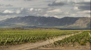 En el Mes del Malbec, Familia Millán apuesta por un vino fresco nacido en altura