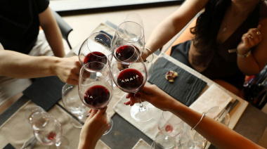 Por el Mes del Malbec, Anaia Wines propone cuatro opciones para celebrarlo