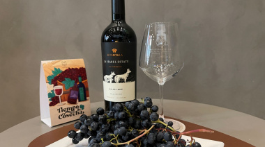Siete días y cinco paradas para disfrutar el Malbec en el corazón de Mendoza