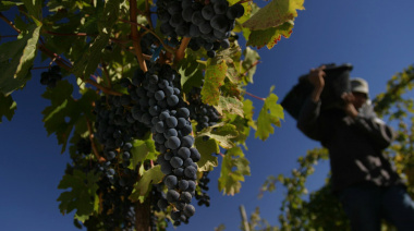 Malbec patagónico: tres vinos para descubrir su frescura y elegancia en su día mundial