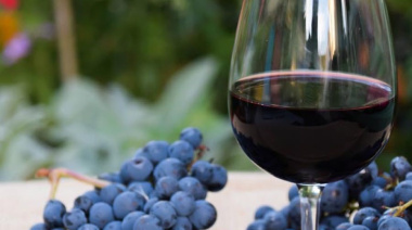El Malbec mejor premiado de Luján de Cuyo obtuvo 97 puntos y una medalla Platinum