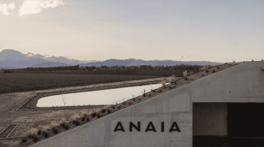 Día del Vino Blanco: Anaia apuesta a una categoría que gana protagonismo con etiquetas de alta gama