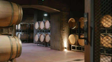 UNO Pinot Noir, el vino de Antigal que combina uvas de Altamira y San Pablo