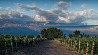 Pelleriti-Priore presenta en Mendoza sus vinos de alta gama del Valle de Uco