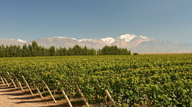 De los Andes al mar, las nuevas fronteras del Pinot Noir