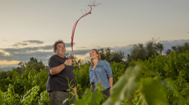 El vino mendocino en la cima: un Malbec de El Enemigo obtuvo 100 puntos Parker