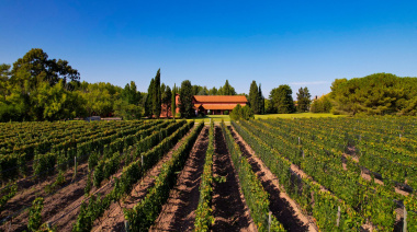Un Malbec de Mendoza obtuvo la máxima distinción en un prestigioso certamen de Londres
