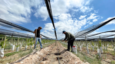 De Mendoza a la Toscana: la empresa vitivinícola que ya vende en 10 países