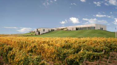 Bodega Malma apuesta por la sustentabilidad para elaborar vinos con identidad patagónica
