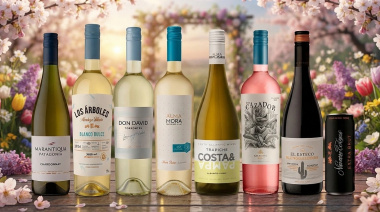 Ocho vinos argentinos frescos para disfrutar esta primavera