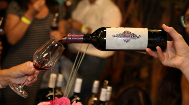 Dionisias Vino en Primavera: cuándo es la feria de vinos, sabores y diseño en el Museo Fader