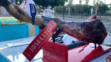 Joselito desembarcó en Mendoza de la mano de Renato 1986