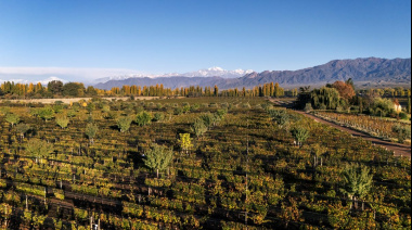 Cheval des Andes 2023: cómo una cosecha cálida dio origen a un vino que apuesta a la frescura