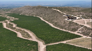 Fabre Montmayou suma tres blends del Valle de Uco: cuáles son y cuánto cuestan