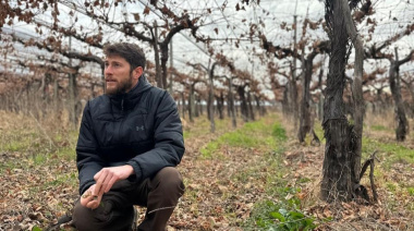 Santiago Vignoni: 15.000 botellas, viñedos patrimoniales y una distinción de Tim Atkin