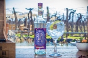 Flipá London Dry: El gin artesanal mendocino que conquista el mundo