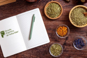 La yerba mate se profesionaliza: lanzan escuela con diplomaturas certificadas y enfoque internacional
