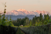 Finca Bandini lanza dos nuevos Cabernet de alta gama desde Las Compuertas