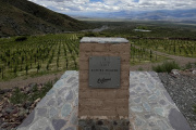 Altura Máxima 2022: el Malbec de las nubes que cautivó a Tim Atkin
