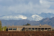 Vacaciones de invierno en Mendoza: experiencias enoturísticas entre viñedos, sabores y paisajes
