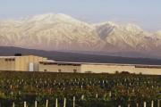 Doña Paula celebra 25 años de Estate Malbec con una edición aniversario