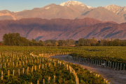 Luigi Bosca, nominada como “Mejor Bodega del Nuevo Mundo” en los Wine Star Awards