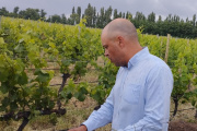 Vinos de altura, un sello de identidad para los consumidores