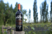 Alta Plata Malbec: la alianza entre Mendoza y Napa Valley que celebra la identidad del vino argentino