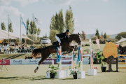 Mendoza brilló con el salto internacional CSI 1 en Casa David entre vinos gastronomía y deporte de élite