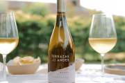 Terrazas de los Andes suma un Chardonnay de Gualtallary a su línea Origen