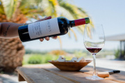 Bodega Familia Schroeder apuesta al otoño con su línea Saurus Barrel Fermented